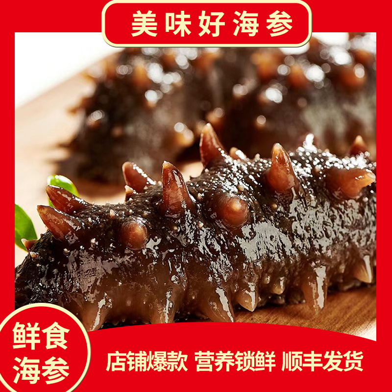 鲜食海参辽刺参冷冻10-12头/斤新鲜营养品质