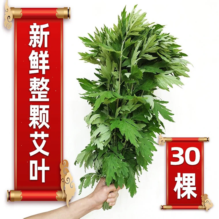大山里新鲜野生艾草大叶端午节挂门窗现剪30颗带叶带杆不带根艾蒿