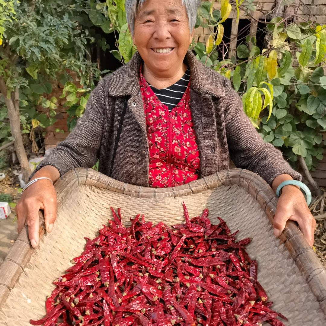 【25年新货】魔鬼椒海椒朝天椒自然晾干炒菜特辣特香中辣精品干辣椒