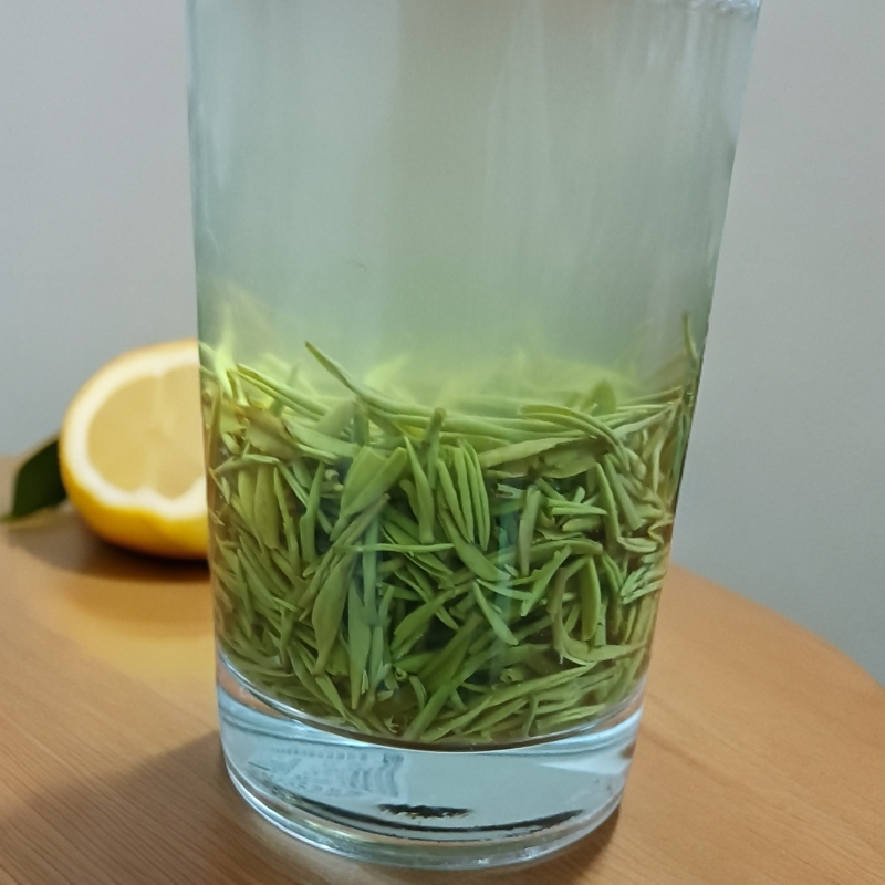 【春茶小芽】2025年新茶信阳毛尖高山生态绿茶自然香茶叶