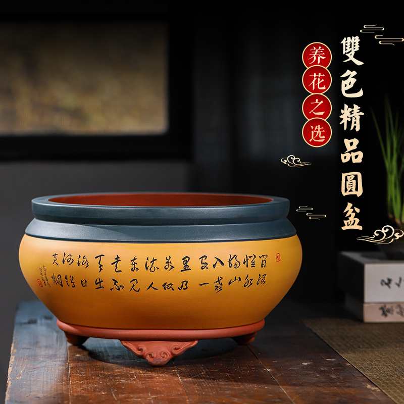 宜兴精品紫砂特大号圆盆特价新款中国风老桩君子兰蝴蝶兰陶瓷盆栽
