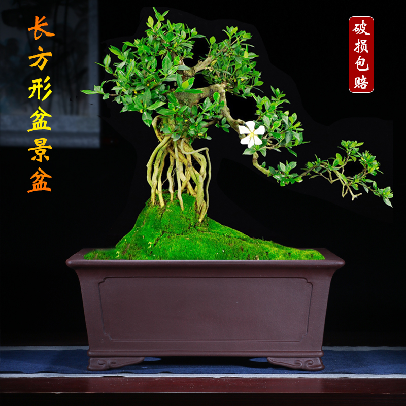 紫泥花盆特大室内高档简易透气罗汉松小盆栽梅花长方形树桩大花盆