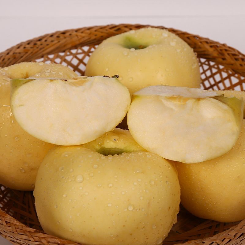 正宗黄元帅苹果粉面刮泥当季新鲜水果香甜宝宝辅食黄金帅9斤整箱