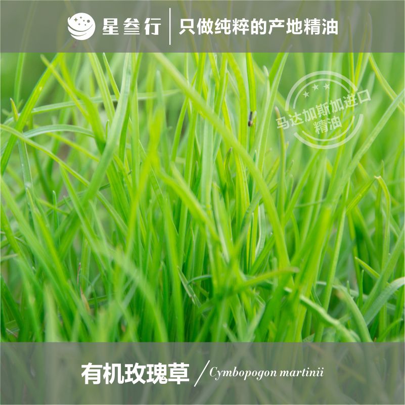 玫瑰草精油 马达加斯加产地 植物单方精油