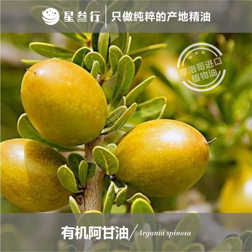 有机阿甘油植物油 摩洛哥产地 植物基础油基底油
