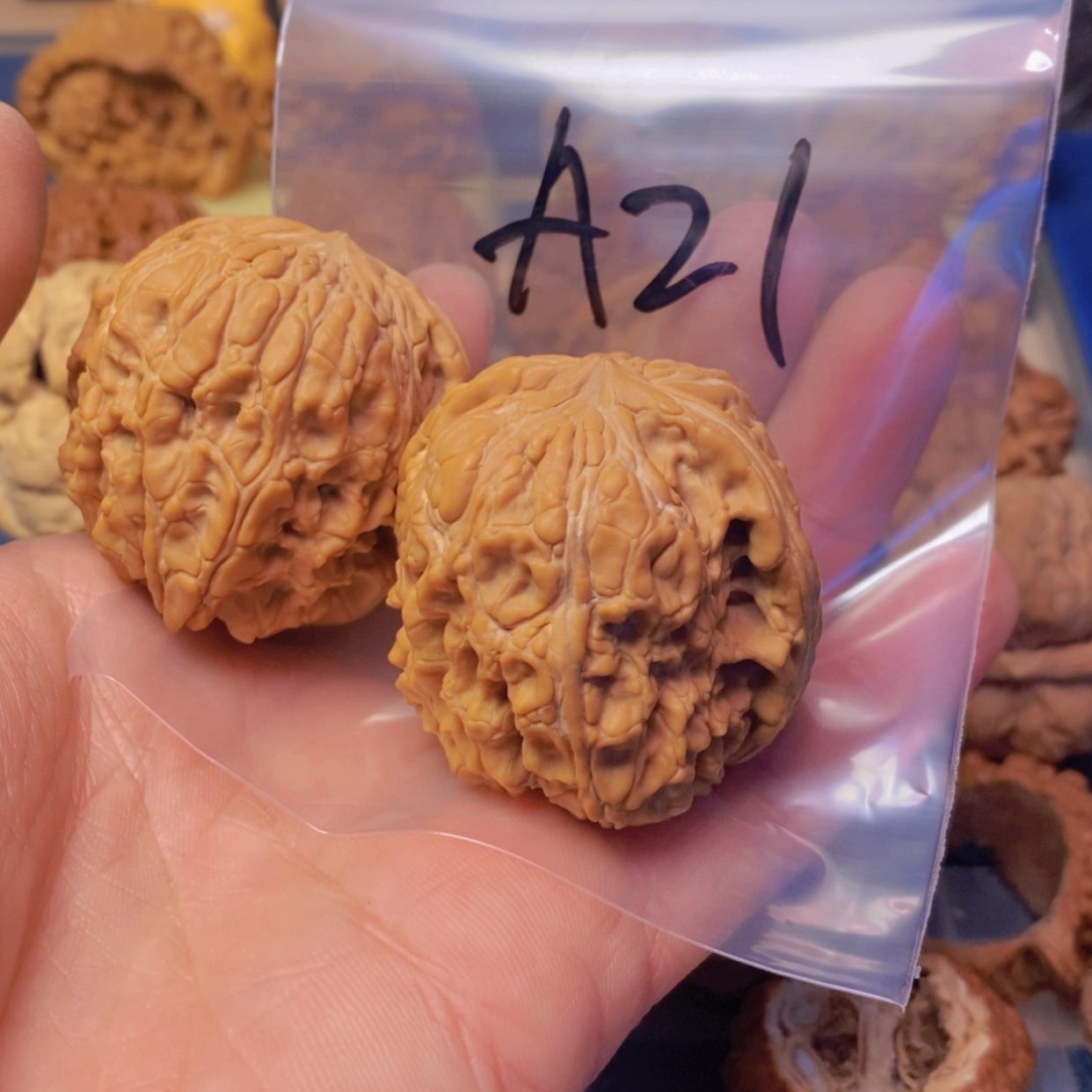 【闪购商品】文玩核桃吊坠雷**下41+闷墩
