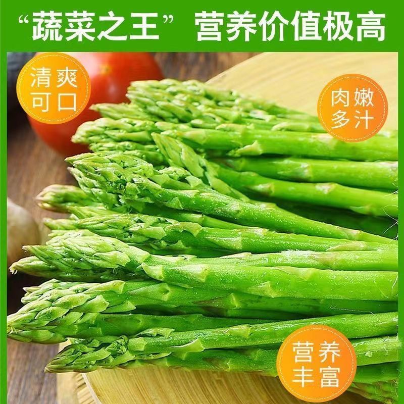 芦笋种子四季播多年生耐热耐寒水果紫芦笋种子家庭盆栽阳台蔬菜籽
