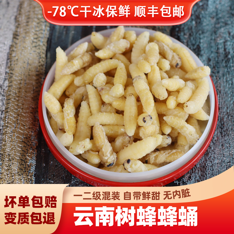 树蜂蜂蛹新鲜冷冻小蜂蛹马蜂蛹胡蜂黄蜂一二混合云南昆虫