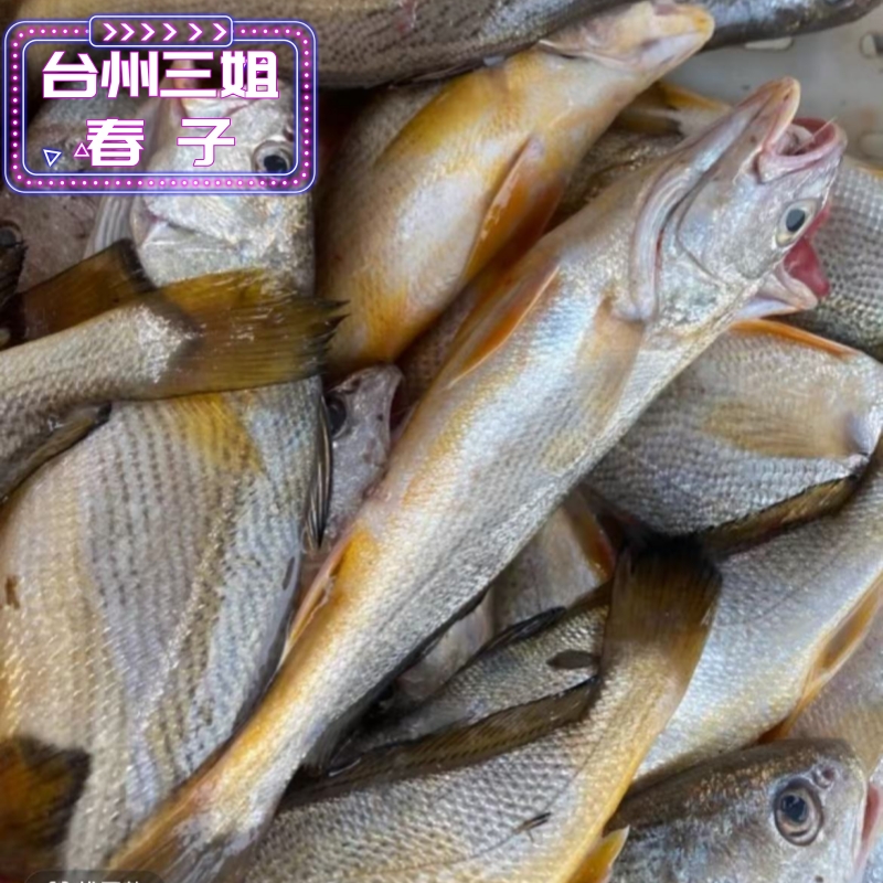 《年终大促》东海野生黄山 海鲜黄姑鱼春子(规格重量以直播间为准)