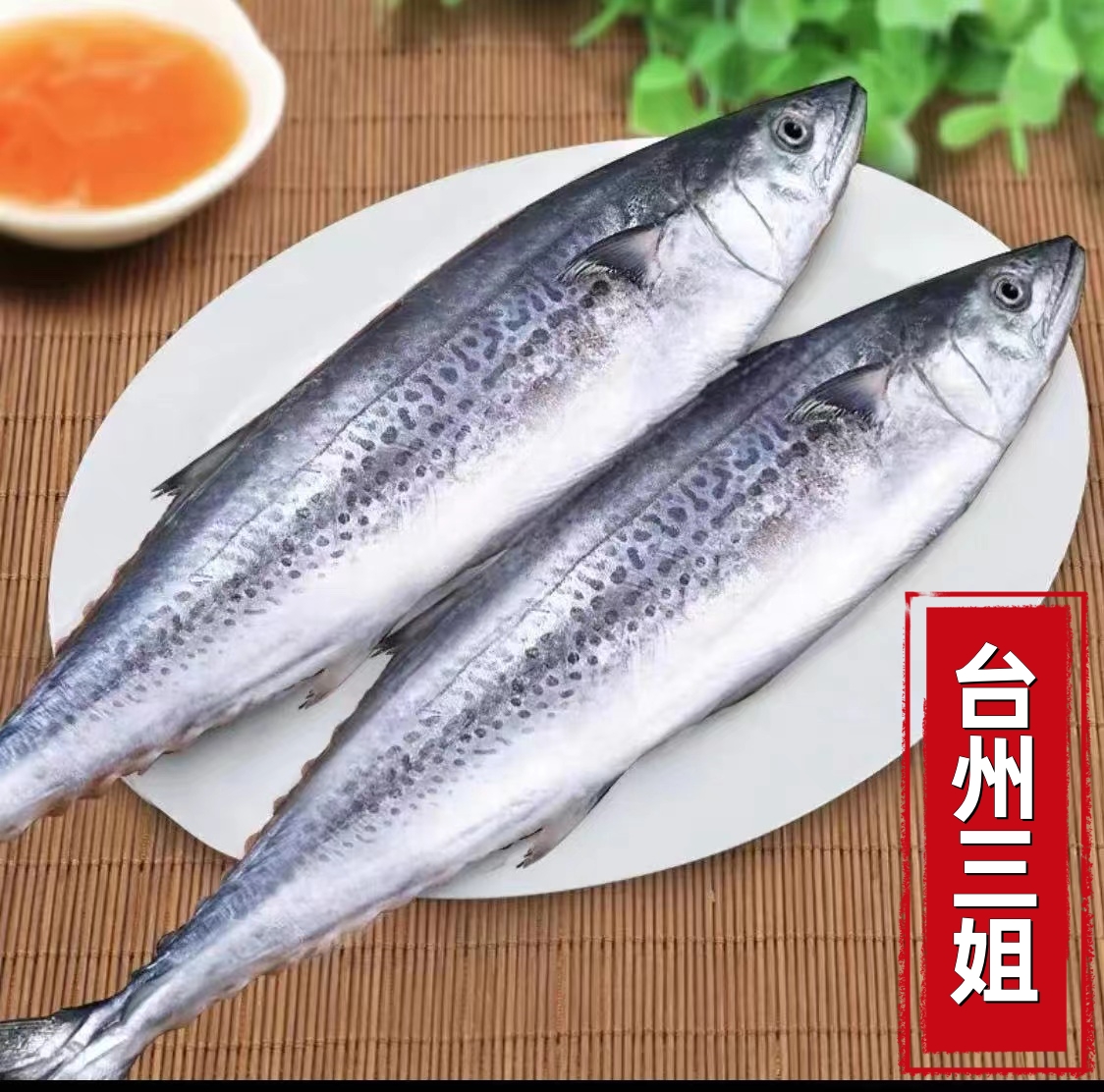 <台州三姐>东海野生马鲛鱼海鲜