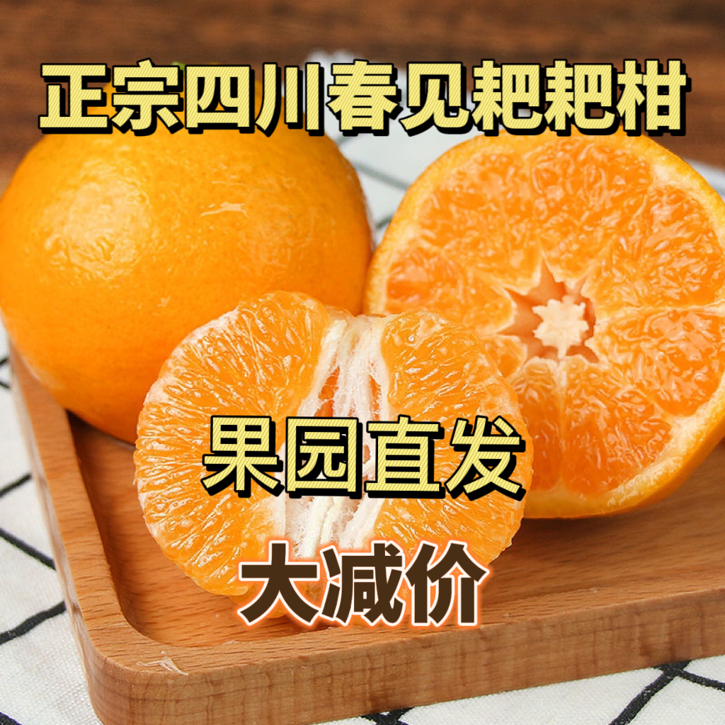 【树熟果】春见耙耙柑正宗柑橘甜桔整箱水果耙耙柑5-10斤新鲜汁水