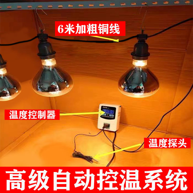 新疆包邮自动控温灯育雏保温灯恒温加热畜牧养殖烤灯宠物爬虫小鸡