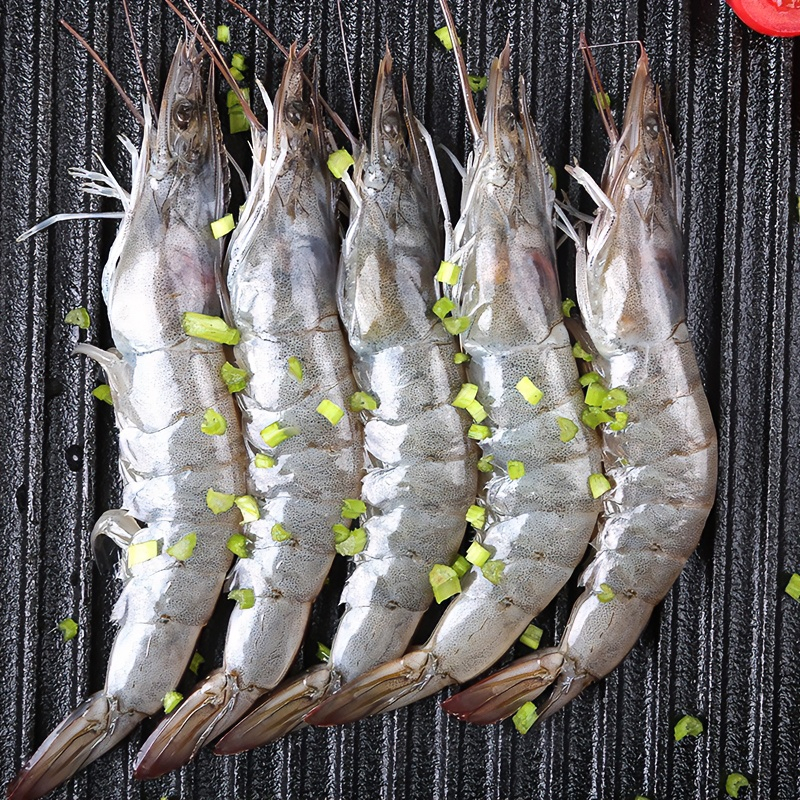 【聪聪专属】3040青岛海水大虾 鲜虾速冻