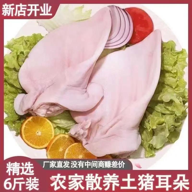 新鲜现杀生猪耳片猪耳尖农家冷冻批发猪耳朵商用卤菜饭店整箱