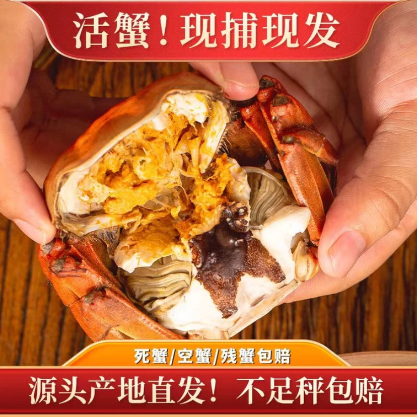 【活蟹】6.0两公5.0两母 去绳去水净重苏州精品大闸蟹新鲜现发 8只