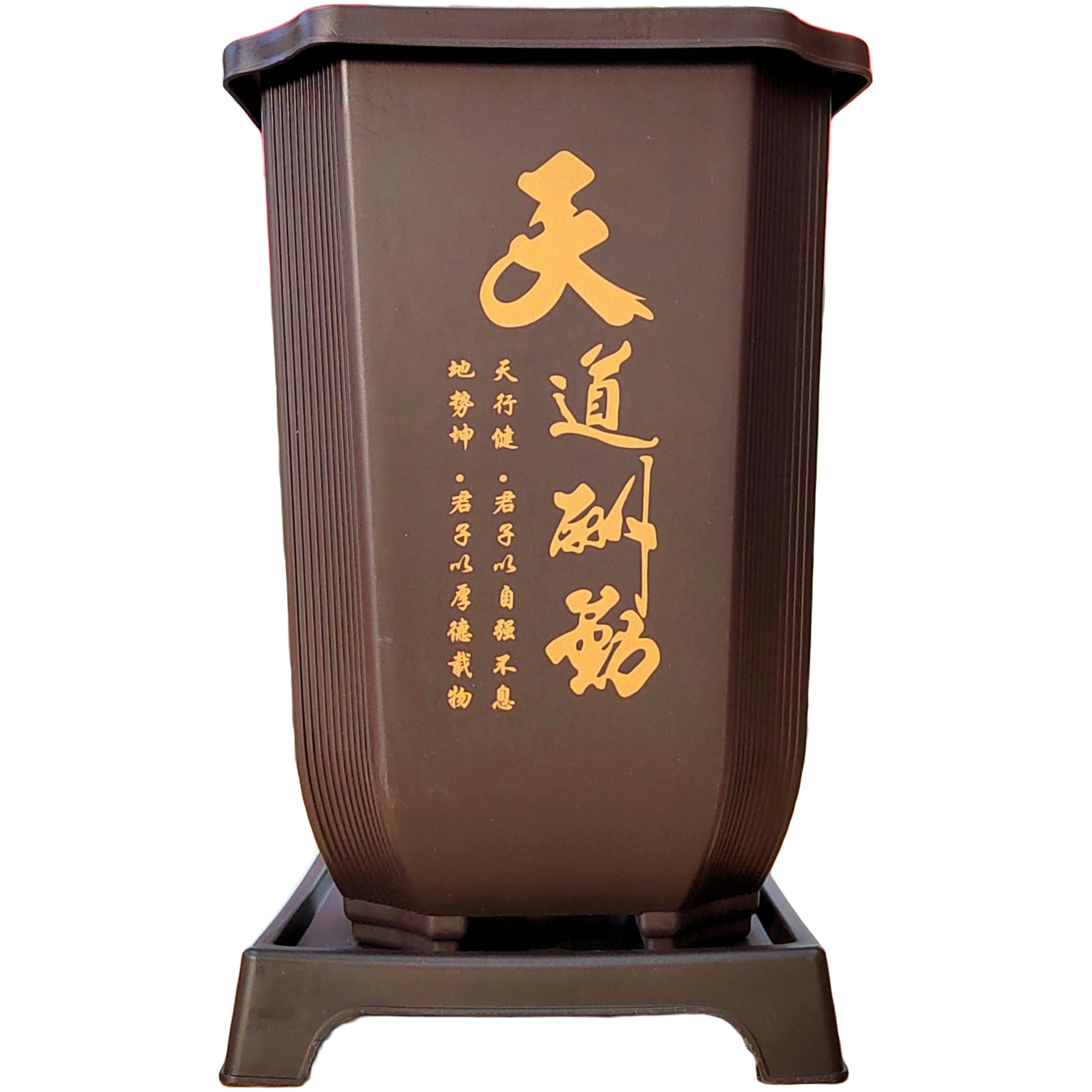 兰花花盆