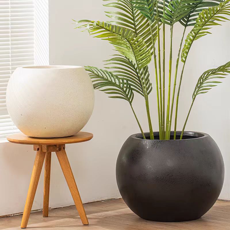 圆形轻奢高级感镁泥花盆落地种植盆栽鸭脚木黑金刚