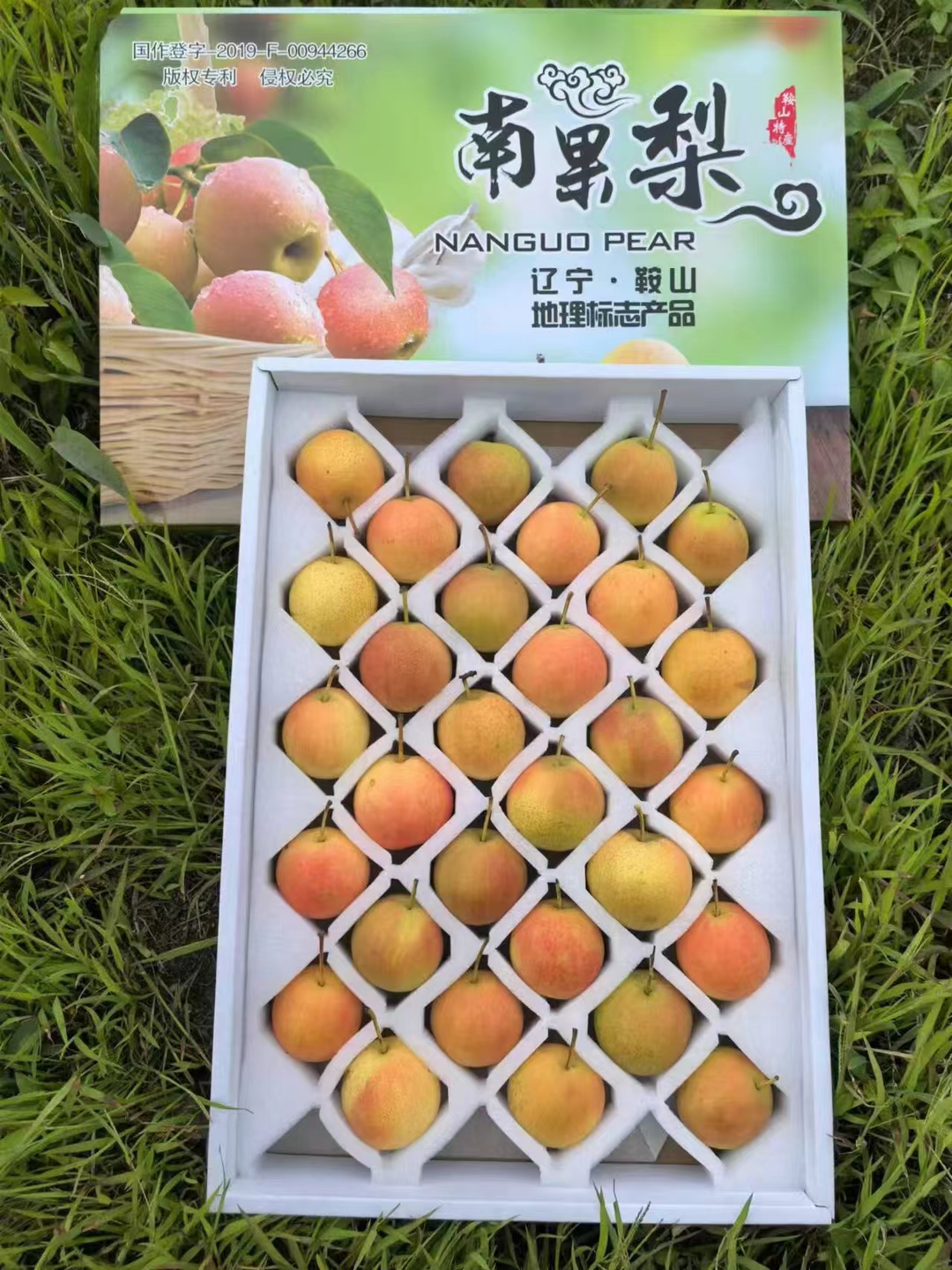 鞍山特产南果梨，红南果，30个梨中果，五斤礼盒装。