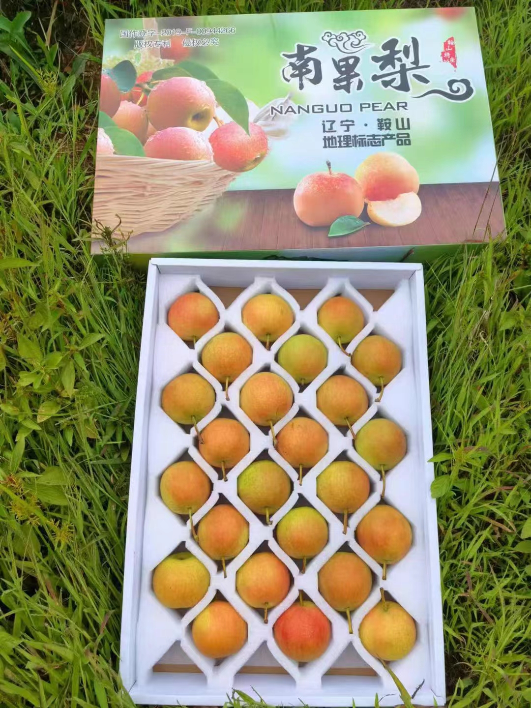 鞍山特产南果梨，红南果，24个梨大果，五斤礼盒装。