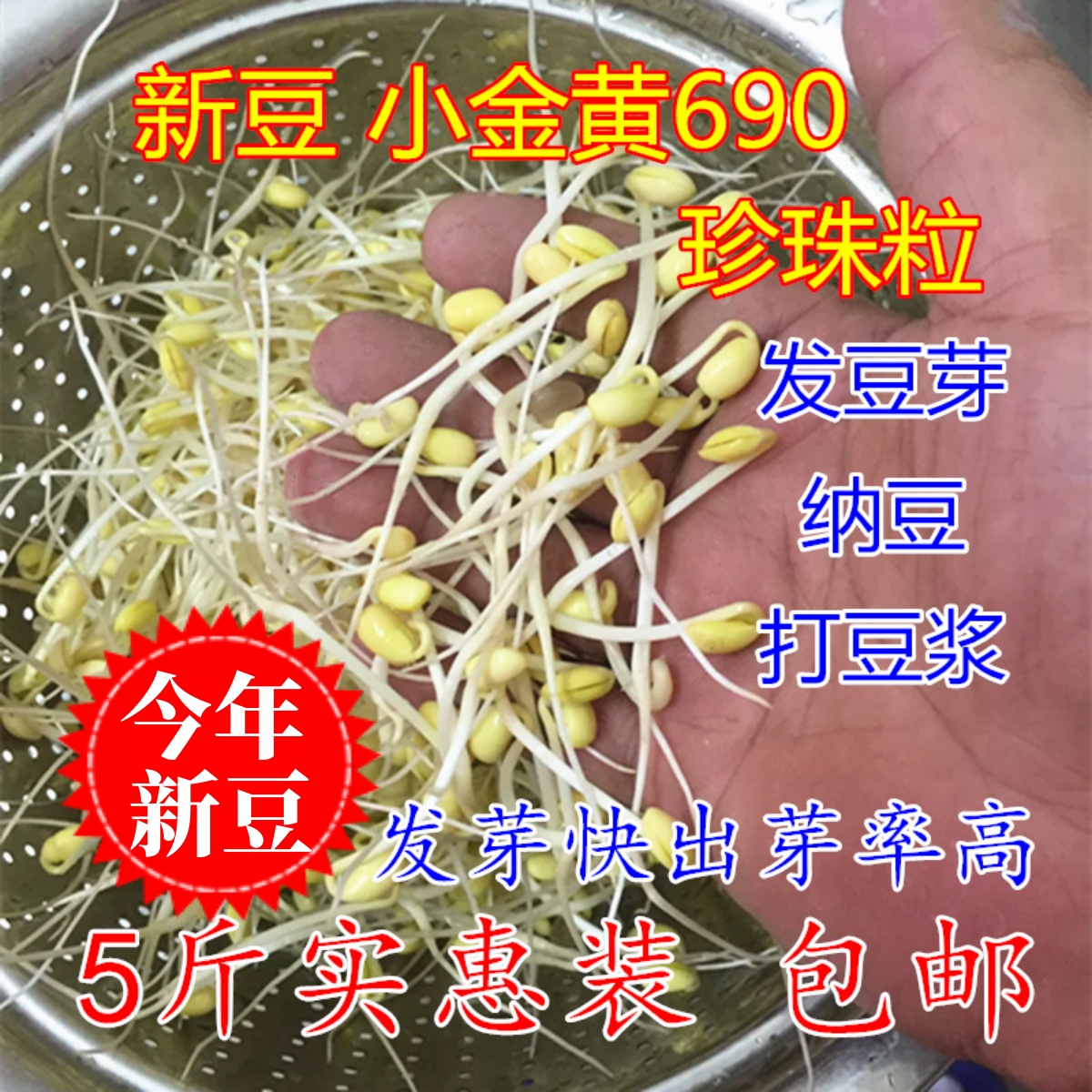 新豆小金黄690黄豆5斤非转基因小黄豆发豆芽做纳豆珍珠粒250g包邮