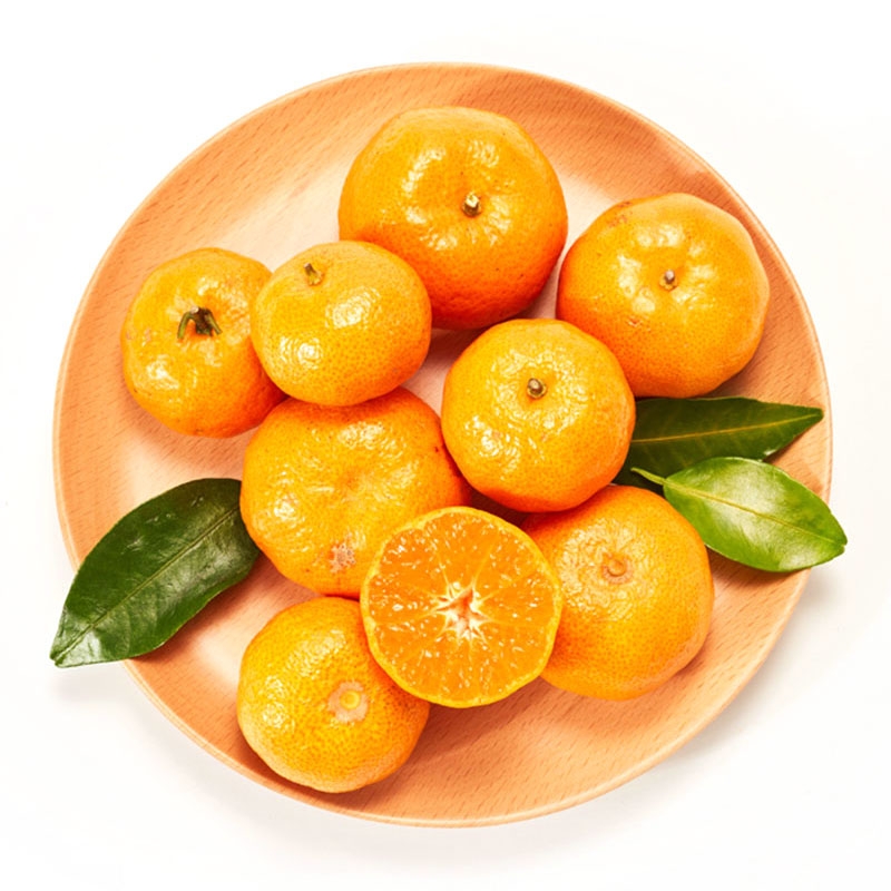 砂糖桔(A级)490-510g/份