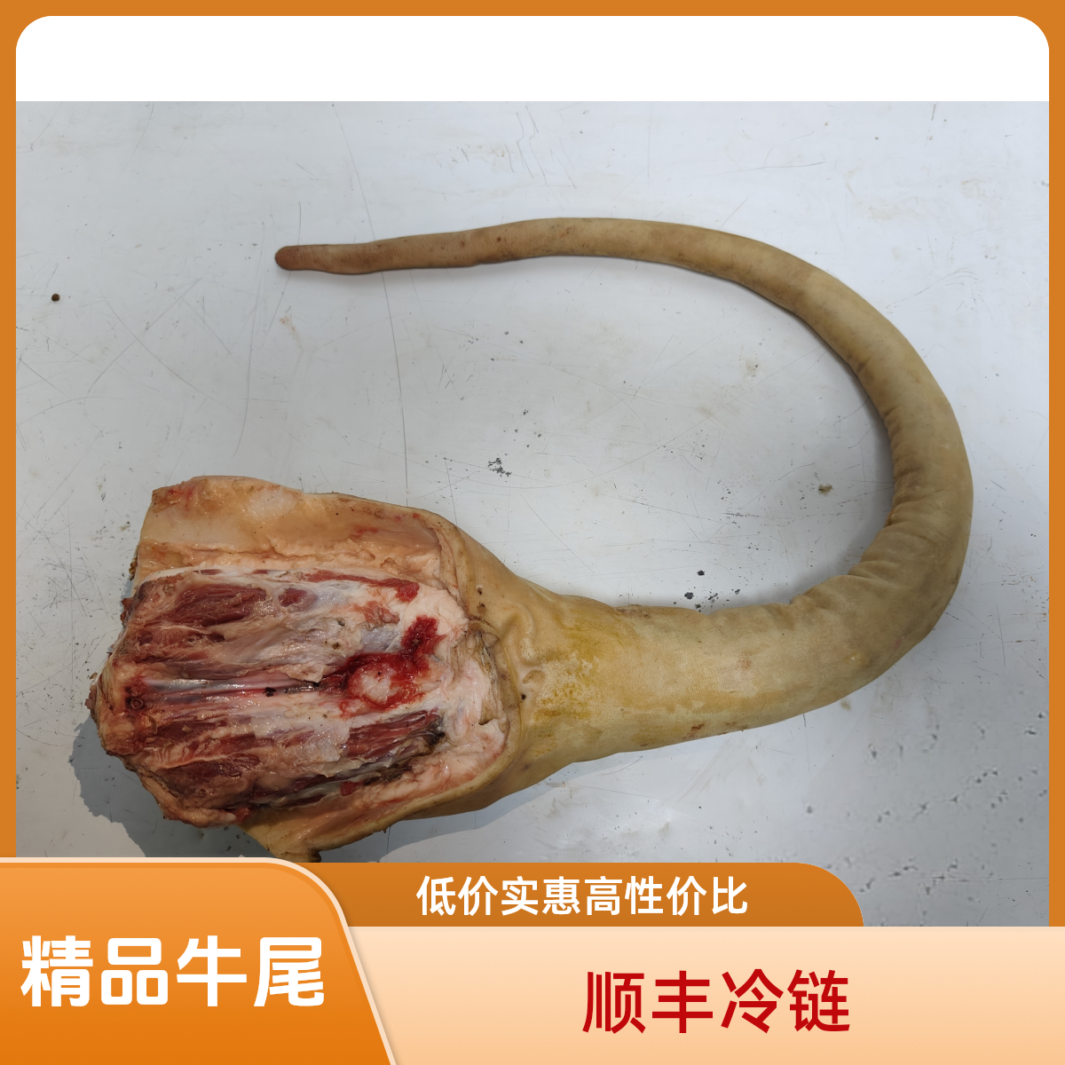 福建牛鼎鲜 大根精品带皮牛尾巴无牛尾骨整条起拍
