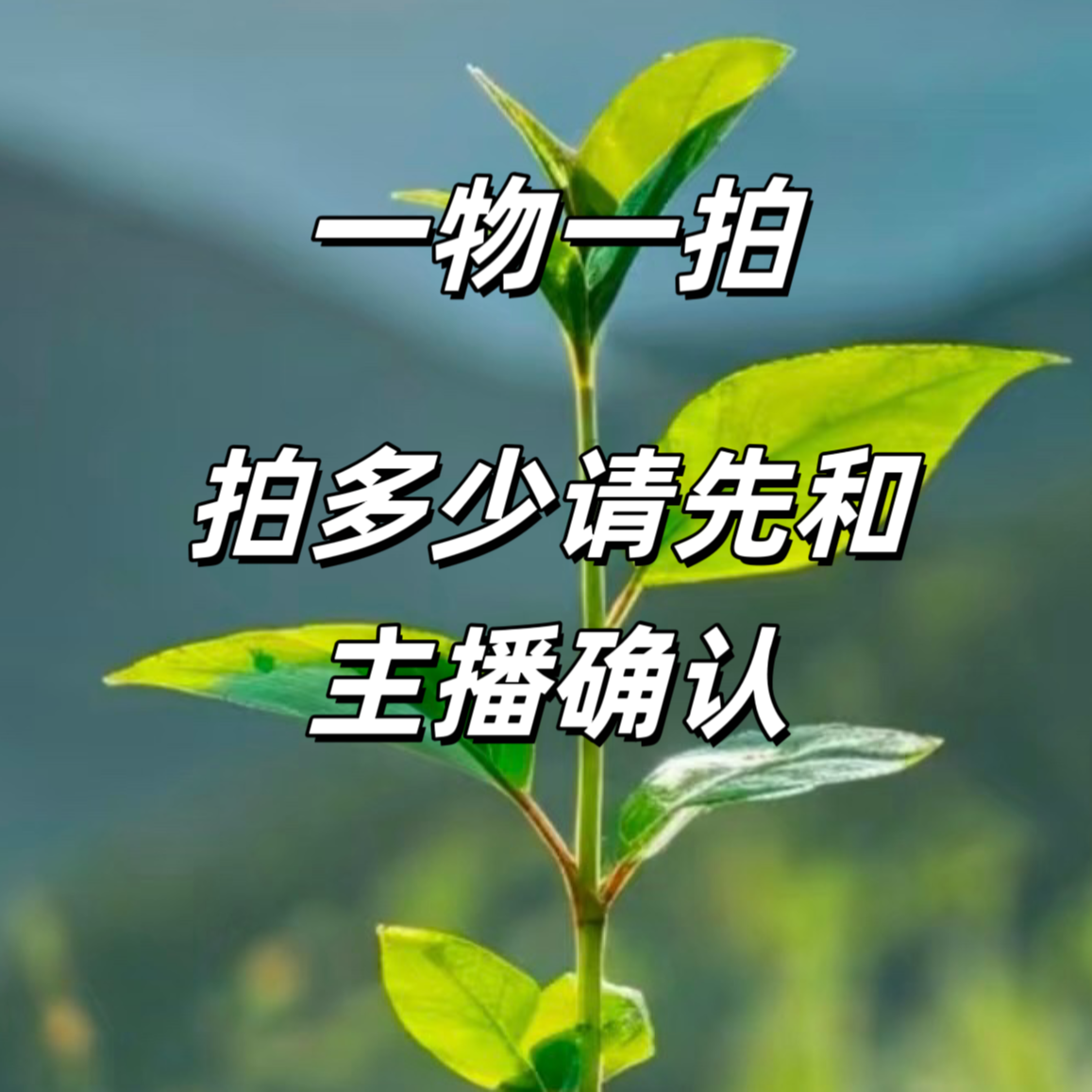 一物一拍 所见即所得