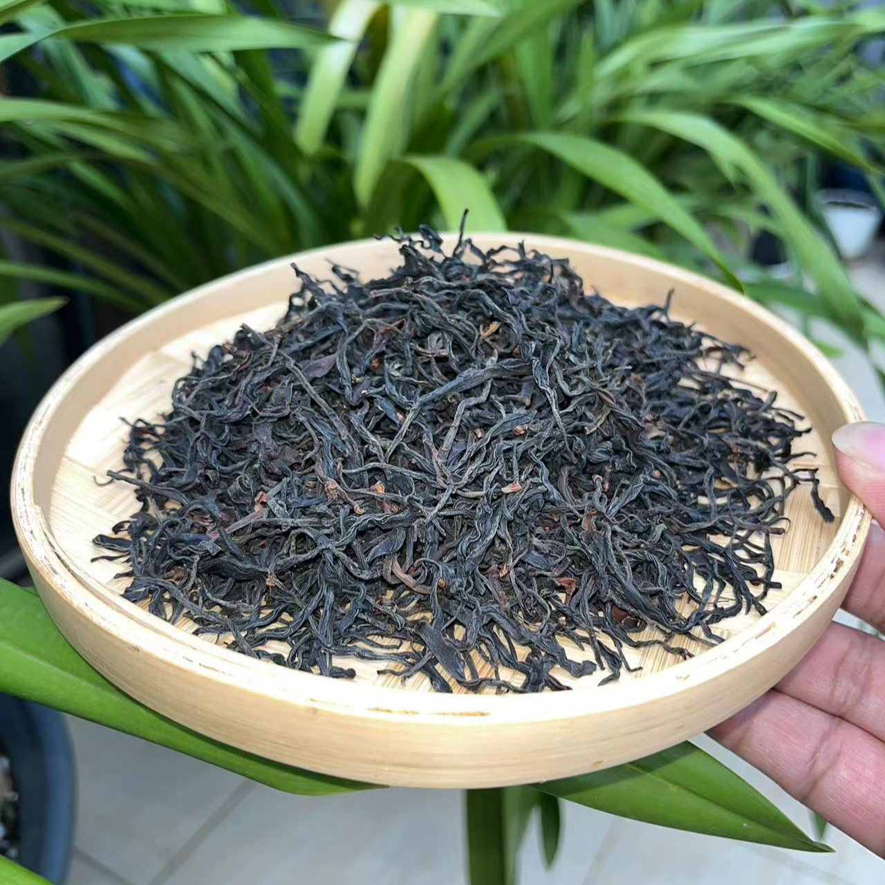 大雪山野生红~花蜜香