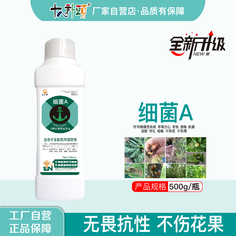 细菌A 防控细菌性角斑溃疡青枯软腐流胶穿孔特别效果进出口助剂