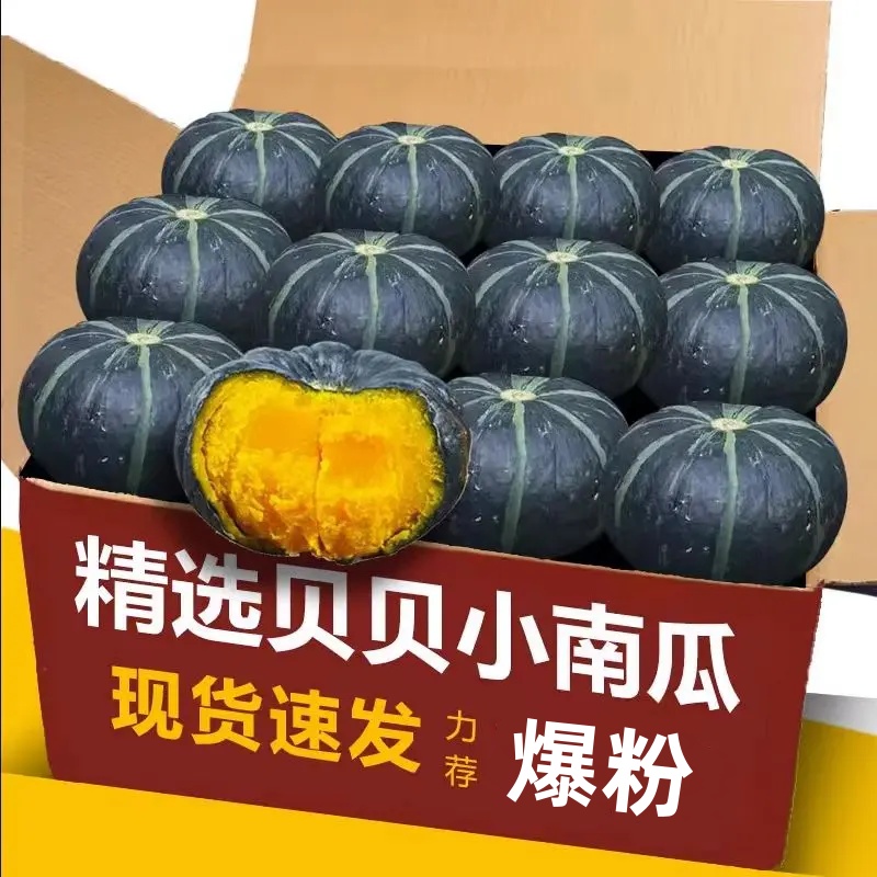 【超好吃】贝贝南瓜板栗味山东贝贝小南瓜粉糯香甜粗粮孕妇宝宝辅食