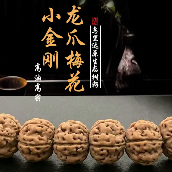 龙爪梅花手持，无泡药滚筒做色