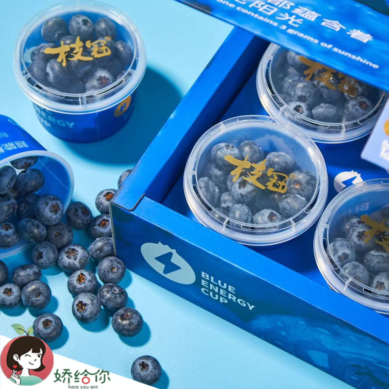 【顺丰包邮】云南当季精选枝冠蓝莓杯脆甜香 100g/罐