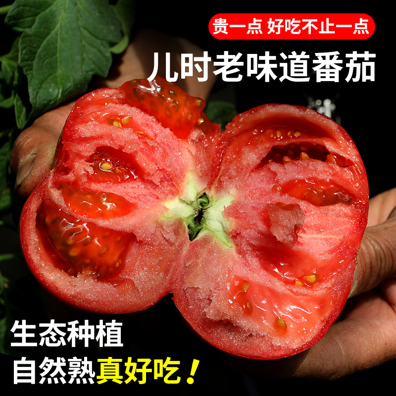 顺丰同城 流沙番茄4斤密云老品种西红柿 生吃做菜味道浓郁 新鲜番茄同城配
