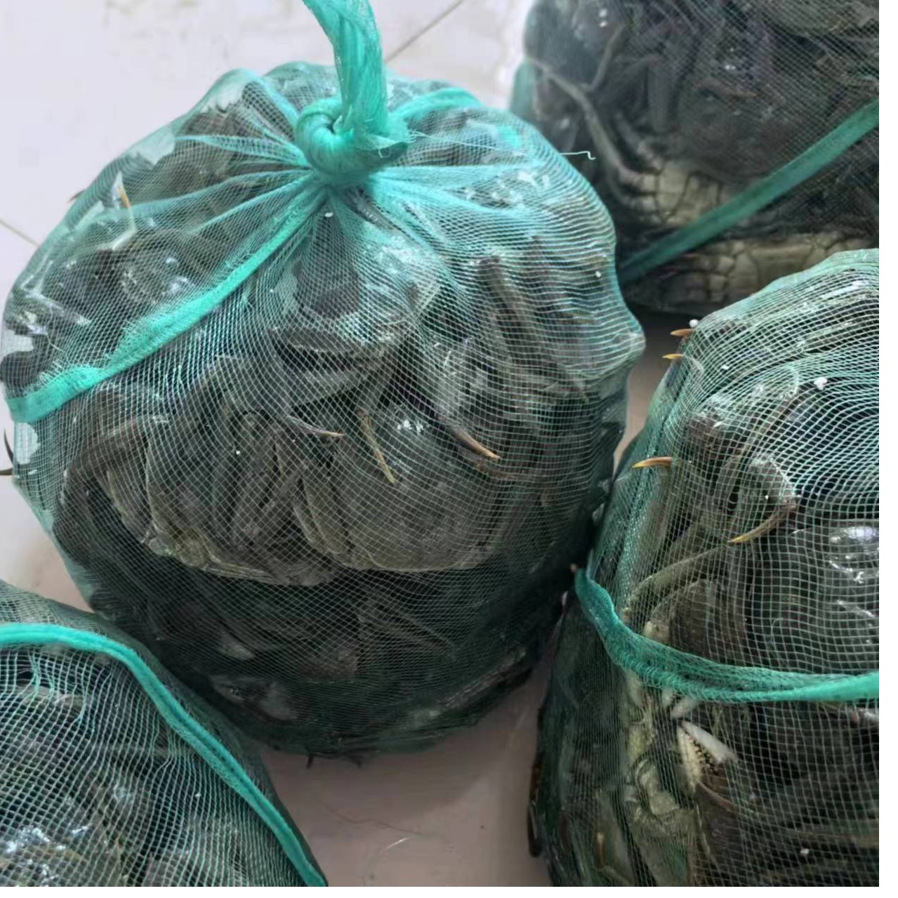 精品大闸蟹6月黄116二斤