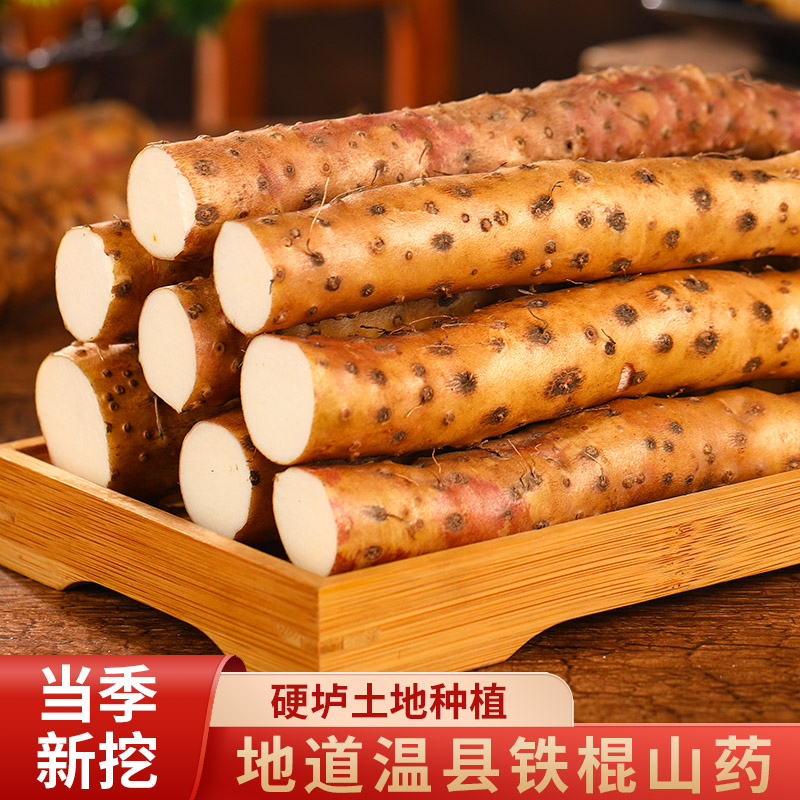 温县垆土铁棍山药河南焦作温县垆土铁棍山药怀山药新鲜山药产地发
