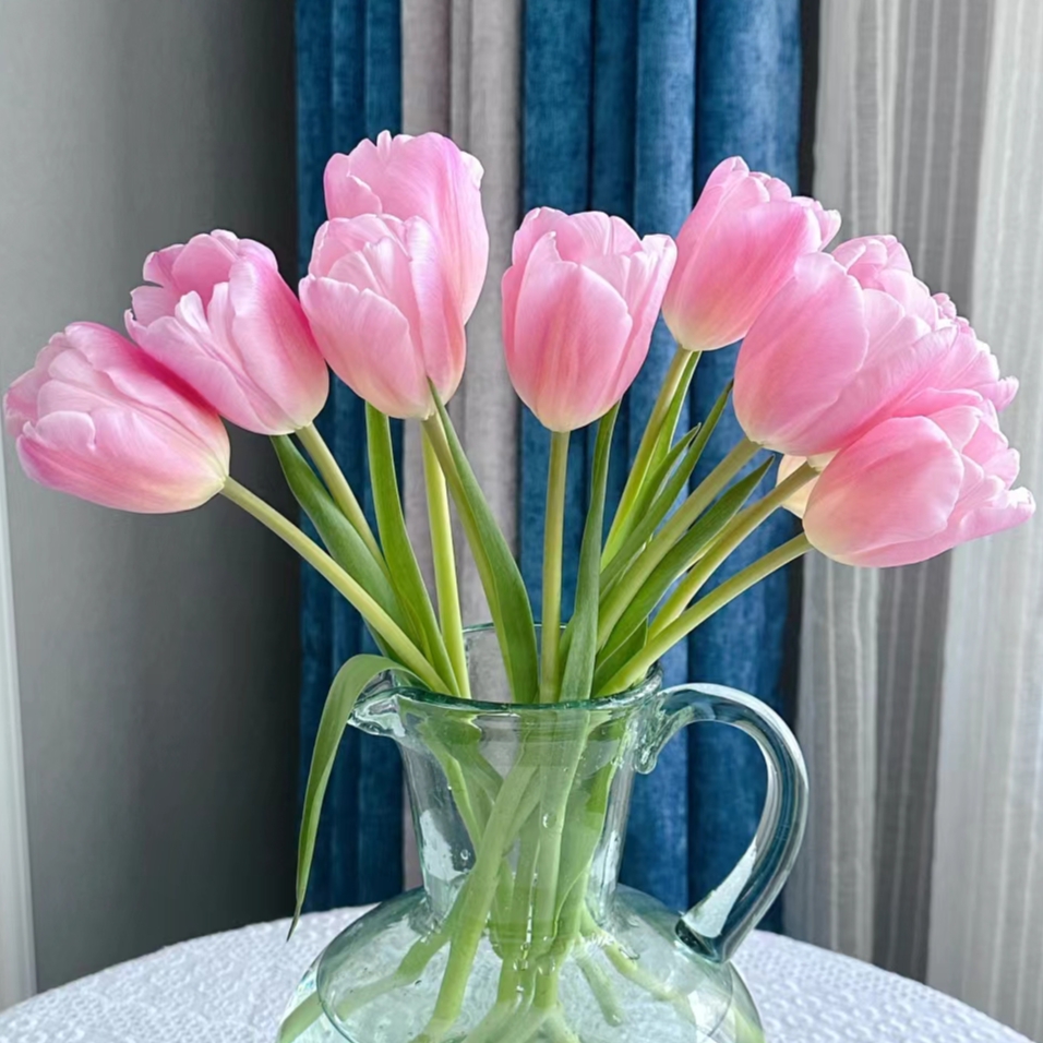 【粉色郁金香】东北鲜花 辽宁朝阳凌源郁金香鲜切花 水养瓶插花