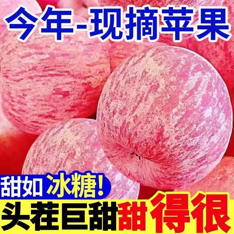 红富士苹果新鲜脆甜水果孕妇冰糖心平果自然