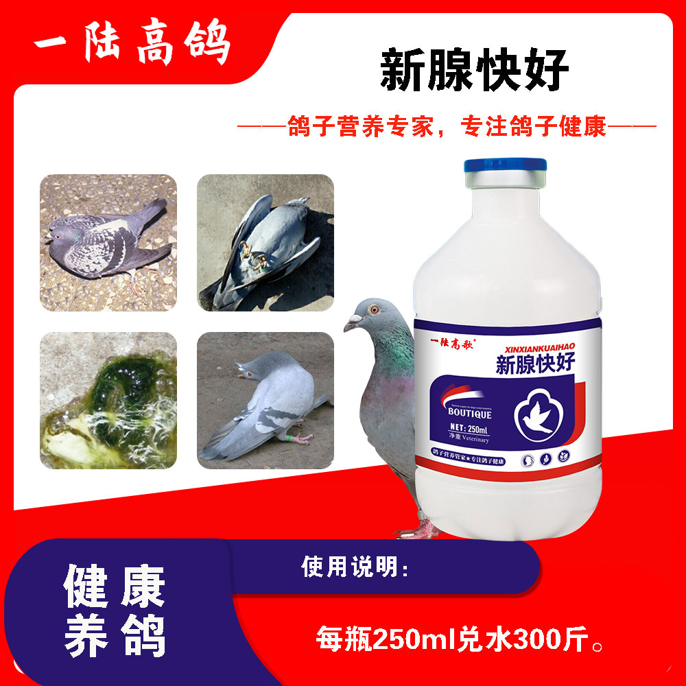 【一陆高歌】新腺快好适用鸽子拌料饮水营养健康使用流行