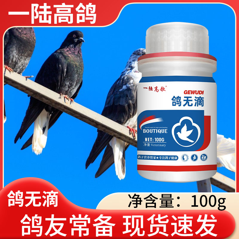 【一陆高鸽】鸽无滴鸽子毛滴虫念珠菌球虫黄绿稀便甩头吐食口疮专用