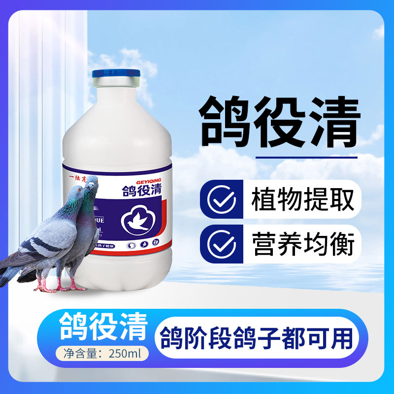 一陆高歌鸽役清鸽子流感鸽痘肉鸽宠物鸽子健康拌水拌料饲料添加剂