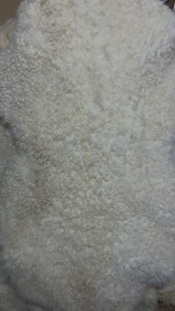 特惠羊毛羔子（直播间专用链接。私拍不发货）皮整张原色地毯热门