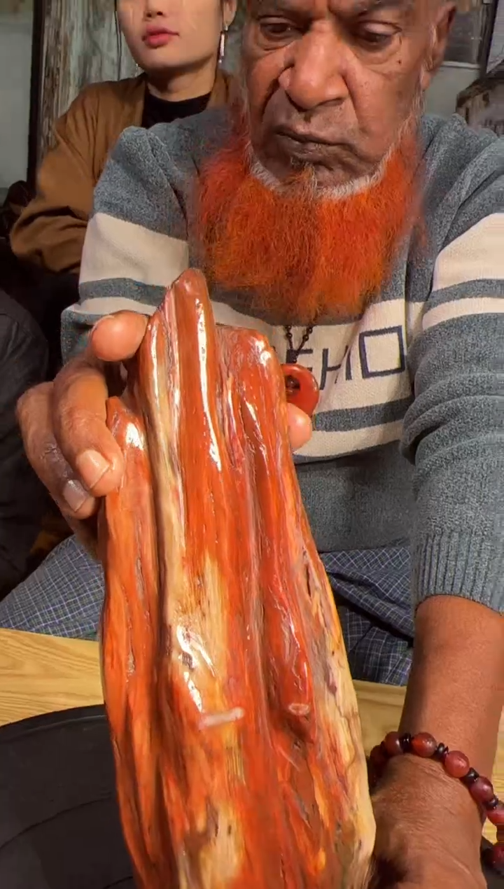 【闪购商品】硅化玉（树化玉）珠宝奇石未镶嵌树化玉拍一发一