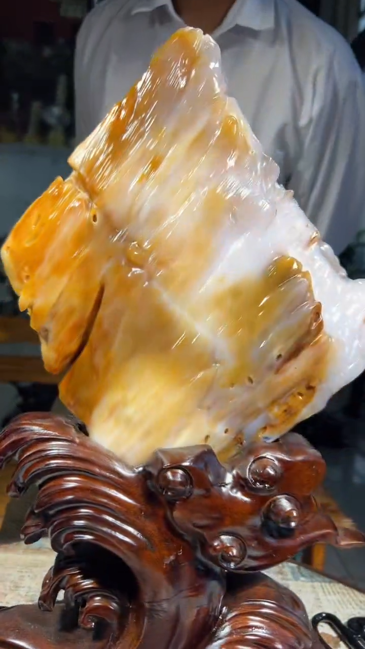 【闪购商品】硅化玉（树化玉）珠宝奇石未镶嵌拍一发一