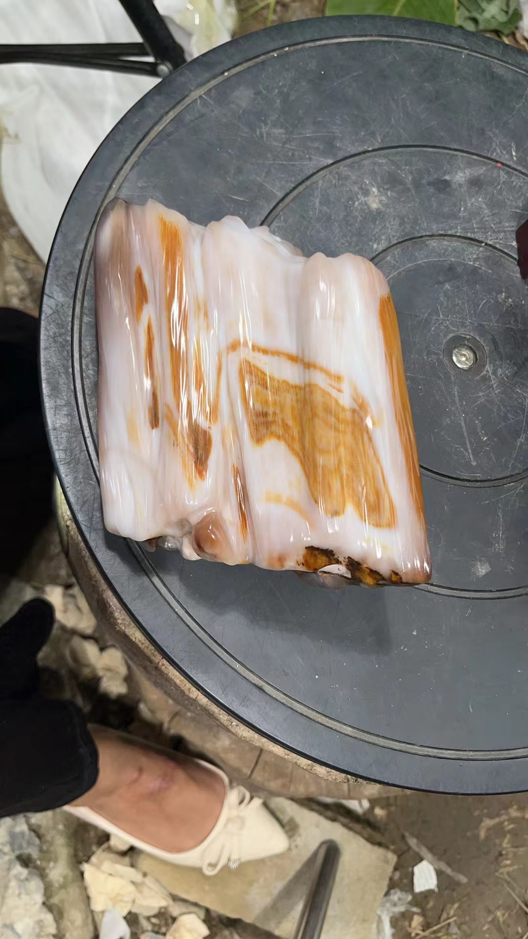 精美树化玉摆件2024926