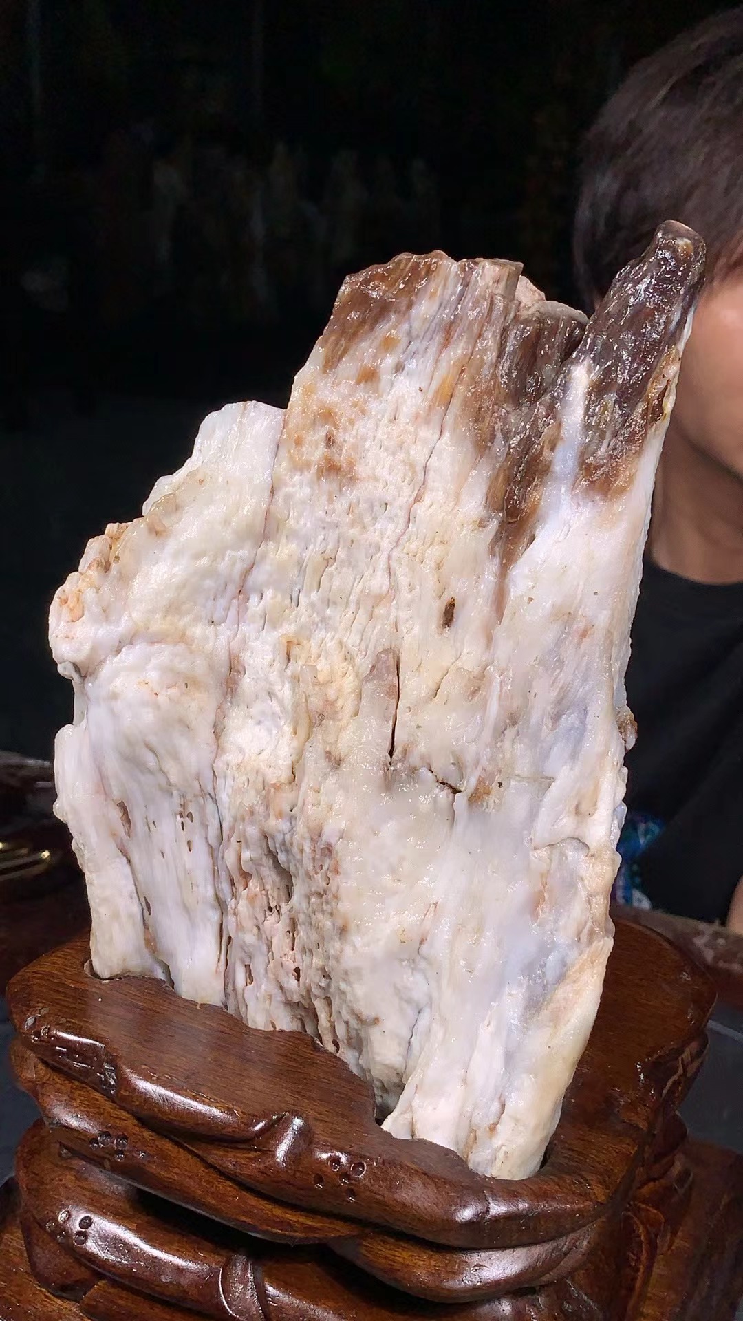 精美树化玉摆件2024919