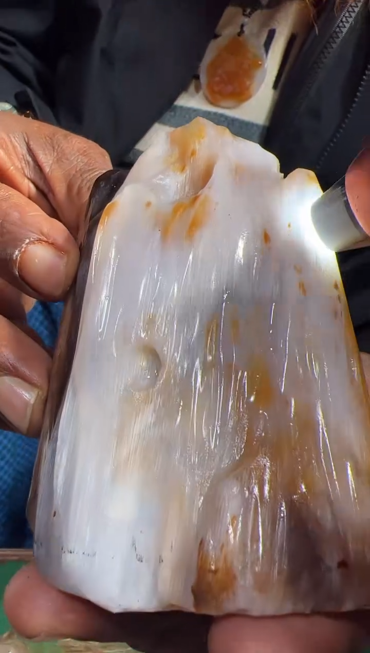 【闪购商品】硅化玉（树化玉）珠宝奇石未镶嵌拍一发一