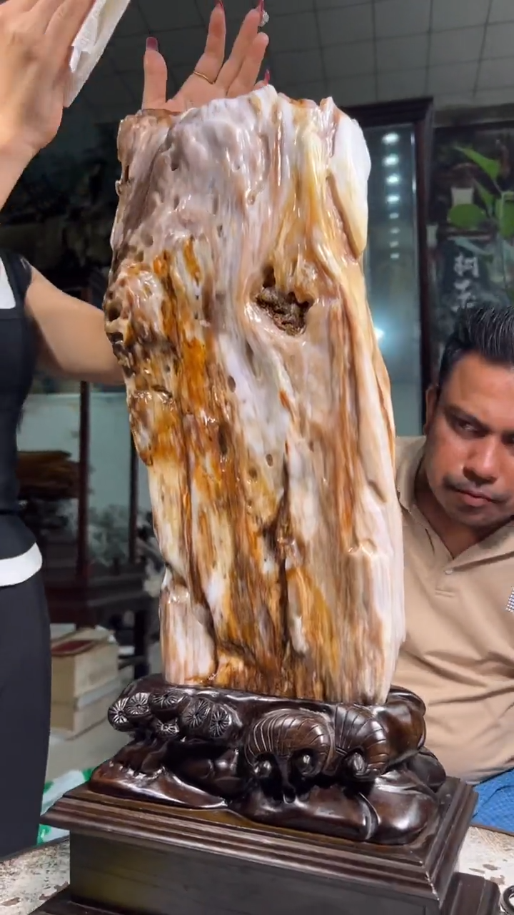 【闪购商品】硅化玉（树化玉）珠宝奇石未镶嵌拍一发一