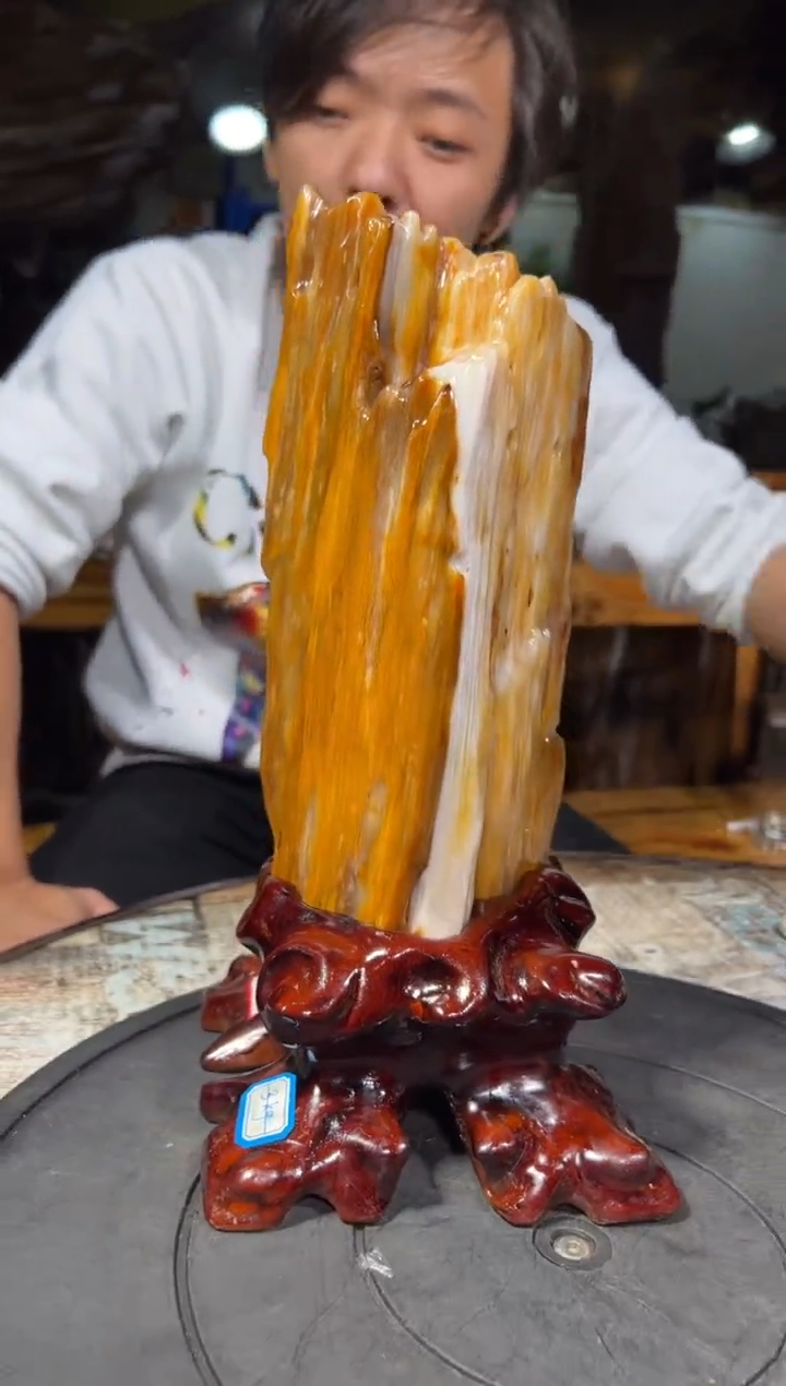 【闪购商品】硅化玉（树化玉）珠宝奇石未镶嵌拍一发一