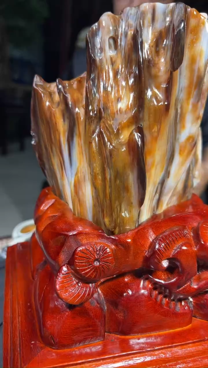 【闪购商品】硅化玉（树化玉）珠宝奇石未镶嵌拍一发一