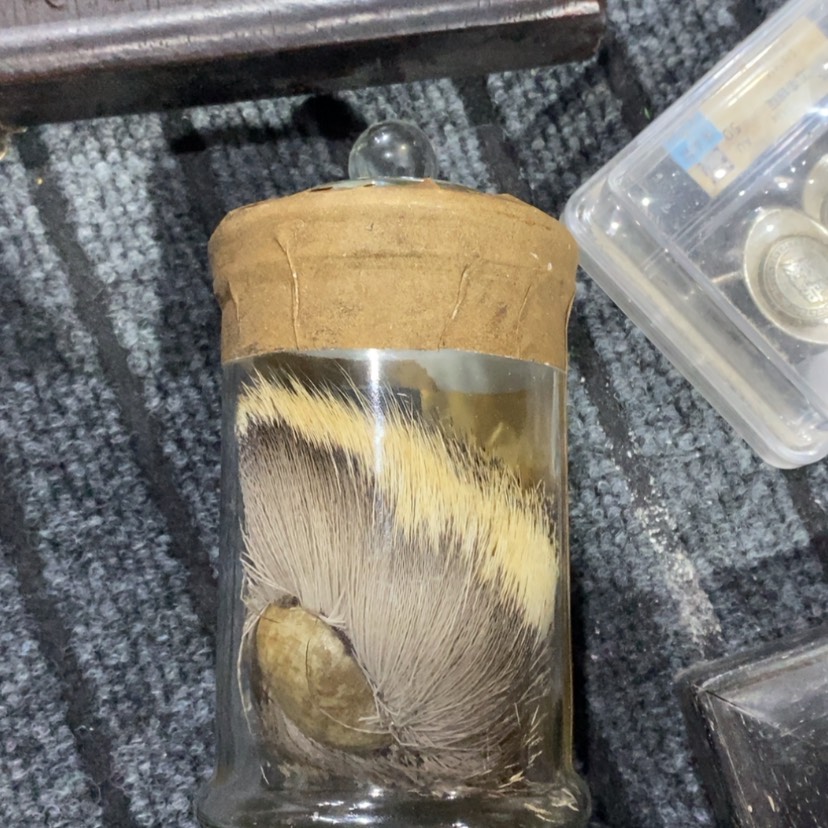 【闪购商品】密胺瓷片品****？